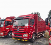 载货车 大运重卡 240 马力
