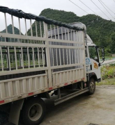 载货车 重汽豪曼 120 马力