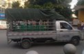 五菱汽车-五菱荣光新卡 2020款 1.6L 排翼开启售货车
