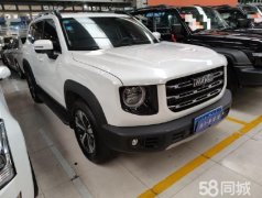 大狗 2021款1.5T DCT拉布拉多版
